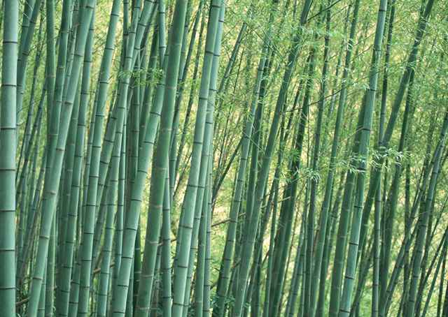 社區(qū)人員承載的壓力大 社區(qū)工作者壓力大?